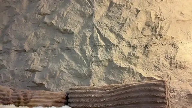 عرض كام GenesisCastillano