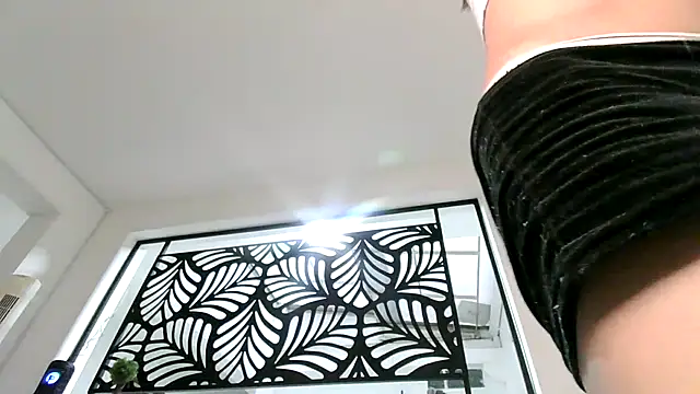 Show Webcam de stormytt_