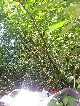 LepimentsurpattesのライブXXXチャット