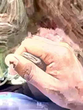 sanju_5418 Webcam-Show