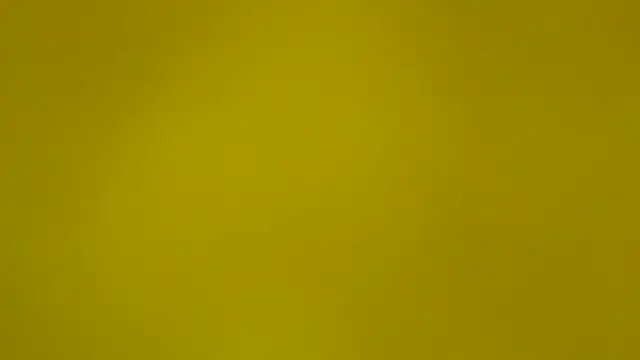 rubdream Webcam-Show