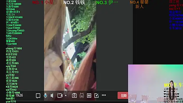 Show webcam de ZZ00033S