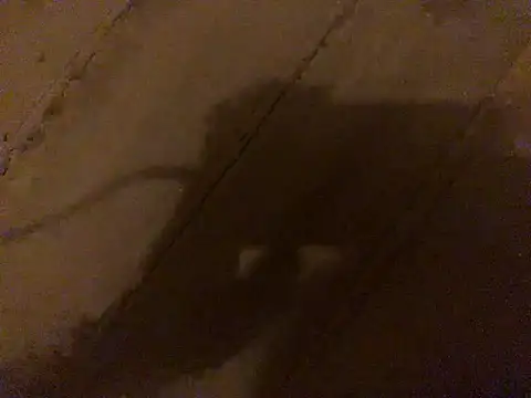 omonakaのウェブカメラショー