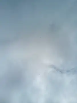 Živý XXX chat sabrinaneves