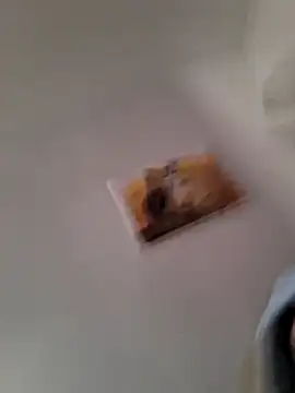 Jbames4567 – Kamerová šou