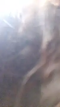 rposhta1991 라이브 XXX 채팅