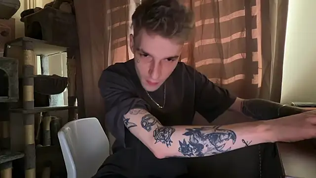 Show webcam de davesinner