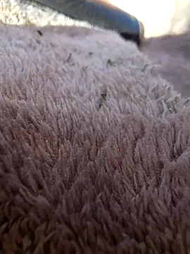 Luna_Lynn élő XXX-chatje