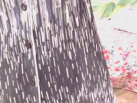 bold-smirthii 现场XXX聊天