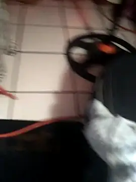 Chat XXX Live Bbcnjb40