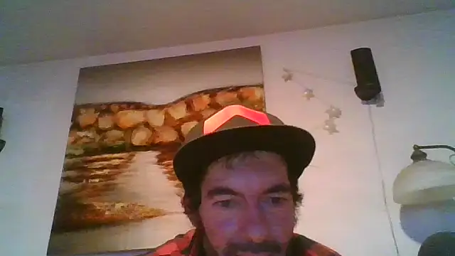 theboobietrap: διαδικτυακό σόου στην κάμερα