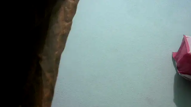 Show de webcam de nanhi_munni