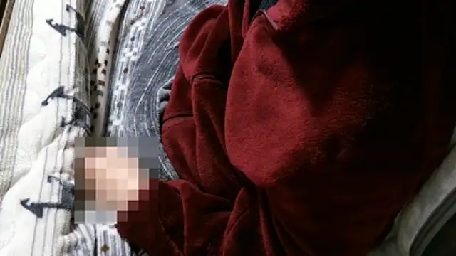 عرض كام cinnabar_red