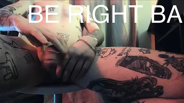 davesinnern Webbikameraesitys