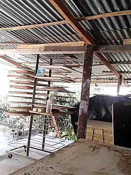 Chat XXX Live hoteder