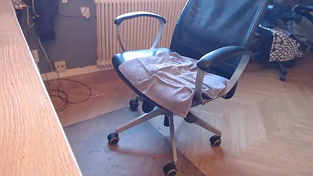 endastjagn Webbikameraesitys