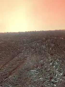 Chat XXX en directo de -Jack_Zoe-