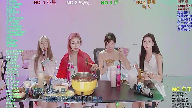 ZZ00033S Show Webcam