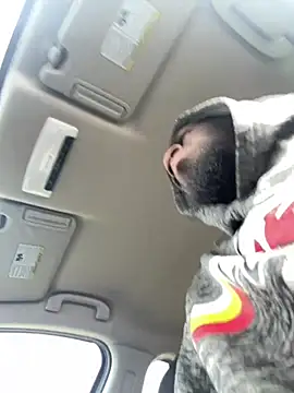 Pokazy przed kamerką – pussyeater_-