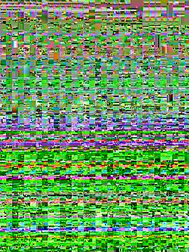 adya-aly élő XXX-chatje