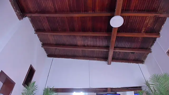 emily-fox – Live XXX-chat