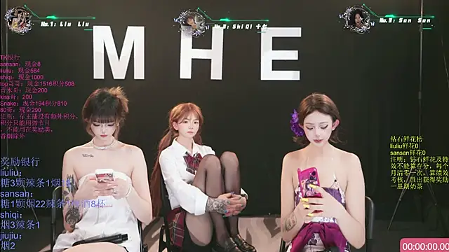 Show webcam de MHe-002