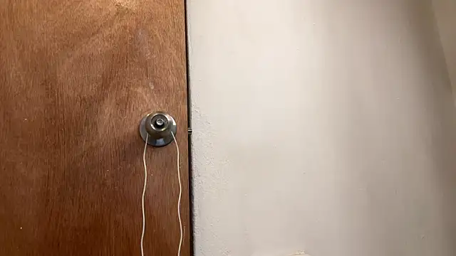 Karim_mansur 网络视讯表演