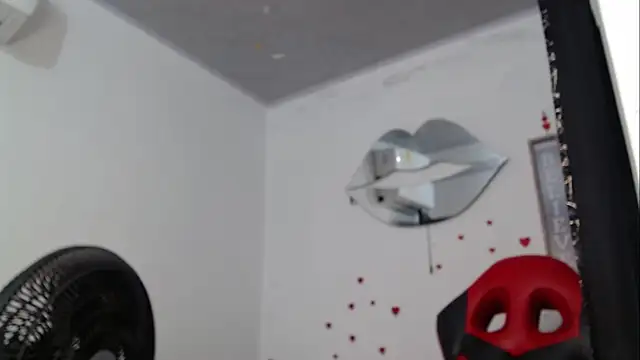 sven_fox723 – Kamerová šou