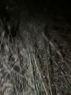 Aytc9989 – Live XXX-chat