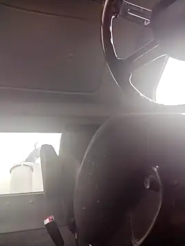 AceticPinscher: вебкам-шоу