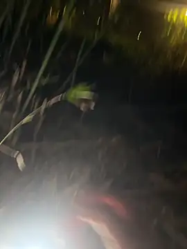 Aytc9989 – Kamerová šou