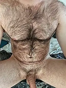 Show webcam de Vinz451