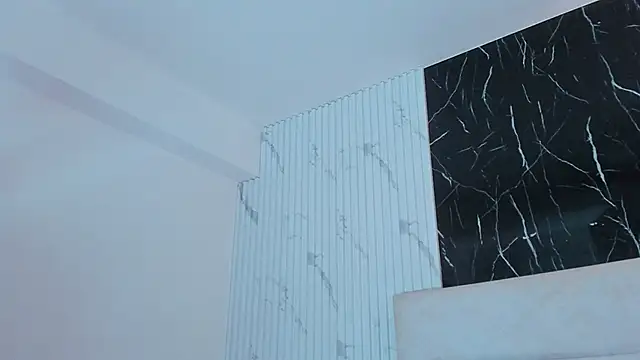 Reginavegaa 现场XXX聊天