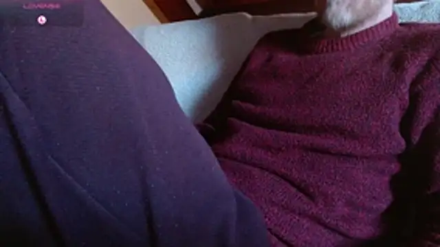 Vrenico-SC 웹캠 쇼