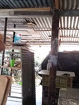 Sembang XXX Secara Langsung hoteder