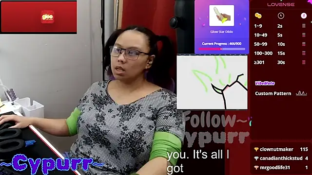 Show webcam de Cypurr