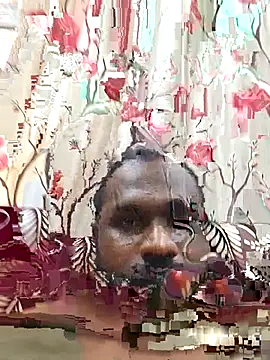 Tirunelvelipaiyan – Kamerová šou