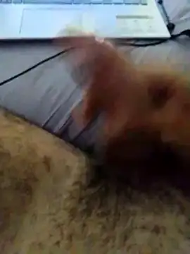 Show webcam de pirocadura19cm