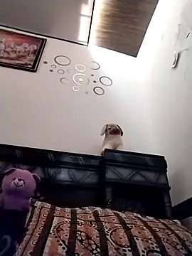 XXX chat uživo modela Wild_Vassu