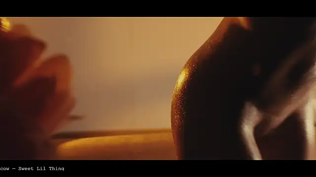 แชท XXX สดของ WebCora