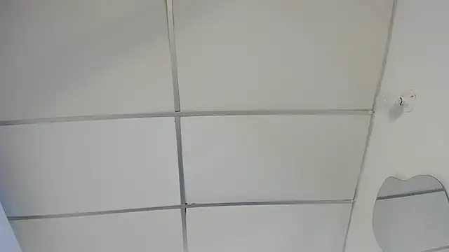 angiexht 라이브 XXX 채팅