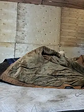 Carlosfkf webcam show