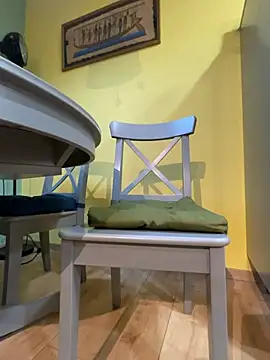 smint06 网络视讯表演