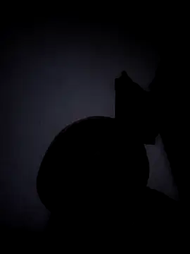 Black_sex- webkamerás műsora