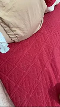 vietAnhzip webcam show