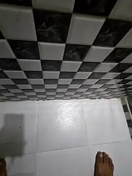 Show webcam de Keshuloveyou