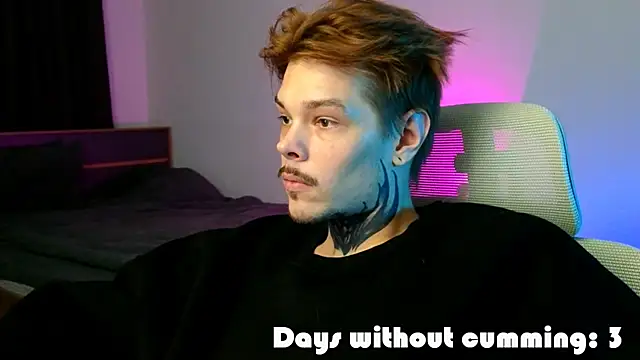 DENIS_HEREn Webbikameraesitys