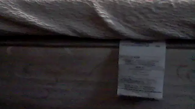 Show Webcam de Silencio26