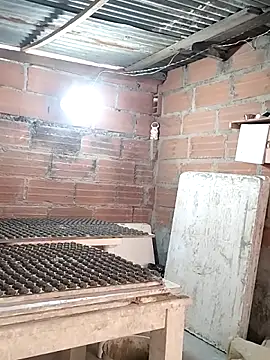 hotederのウェブカメラショー