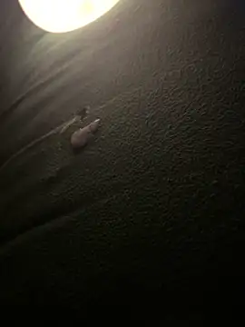 Show de horniestboy2004 na webcam